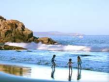 kids playing on the beach image